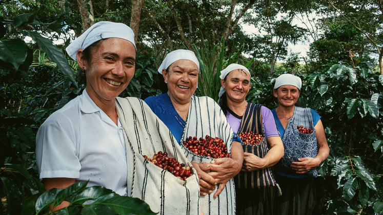 Four coffee farmers in Peru smile in a coffee field.